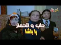 Lagu باعت حمار أبوها عشان تسفرحبيبها.. طلهت نصبايا 😱💔| رجب فوق صفيح ساخن