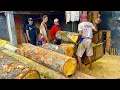 Download Lagu KEINDAHAN TAK TERDUGA..! Kayu Nangka Ini Memancarkan Warna Emas Saat Digergaji Bahan Balok.