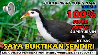 super powerful voice proven itself version 3 