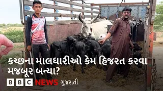 Kutch ના માલધારીઓનું જીવન કેવું હોય છે અને તેઓ કેવા કપરા સંજોગો વચ્ચે પોતાનું જીવન વિતાવે છે?
