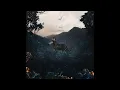 Apaj - The Wet Path