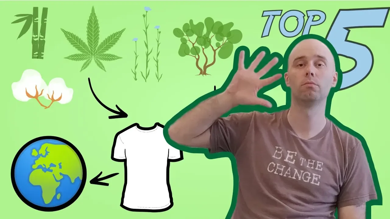 The Best Eco-Friendly Fibers to make Clothing