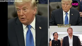“They ought to stop the stupid war”trump  #usa 