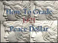 Grading 1921 Peace Dollars - How To Grade 1921 High Relief Peace Dollars