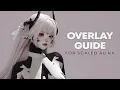 DT Overlay Guide for Scaled Au Ra