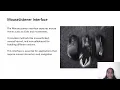 Event Handling In JAVA