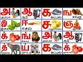 Lagu உயிர் எழுத்துக்கள்| மெய் எழுத்துக்கள் |உயிர்மெய் எழுத்துக்கள்|tamil alphabets|Tamil consonants