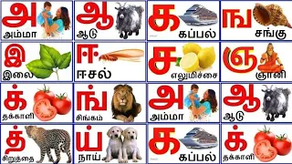  tamil alphabets tamil consonants