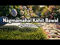 Lagu Nagmamahal, Kahit Bawal ( Lyrics Video ) By: Narex Bernan