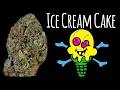 Ice Cream Cake Strain Review