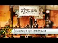 Ponto de Equilíbrio - Árvore do Reggae