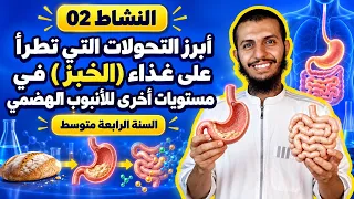 النشاط الثاني أبرز التحولات التي تطرأ على غذاء الخبز في مستويات أخرى للأنبوب الهضمي رابعة متوسط
