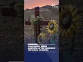 Utah family seeks answers after roadside memorial vanishes