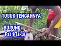 Download Lagu cara ampuh mengatasi burung pipit - menggunakan pelepah kelapa