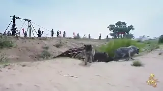 انا لما بحب بجن اقوه فلم اكشن حماسي قصة حب كورية أمجد جمعة  انا لما بحب بجن اقوه فلم اكشن حماسي قصة حب كورية أمجد جمعة