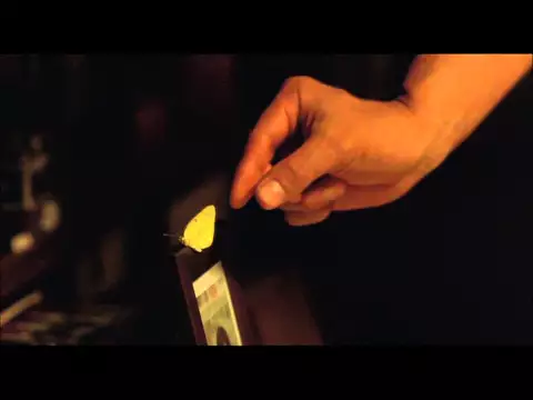 STILL WALKING Trailer (2008) - The Criterion Collection