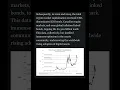 Download Lagu Parallel Between Crypto Growth \u0026 Canada Stock Market #grayscale #crypto #stockmarket #cryptonews