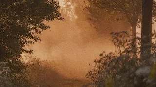 𝐭𝐡𝐞 𝐥𝐞𝐚𝐯𝐞𝐬 𝐚𝐫𝐞 𝐟𝐚𝐥𝐥𝐢𝐧𝐠 𝐚𝐠𝐚𝐢𝐧 𝐅𝐚𝐥𝐥 𝐩𝐥𝐚𝐲𝐥𝐢𝐬𝐭 