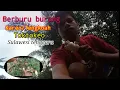 Download Lagu Berburu burung kareo/Tengkoah/Toktokeo Sulawesi tenggara #Ebinkhan89
