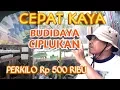 Lagu PELUANG BISNIS SAMPINGAN MODAL KECIL