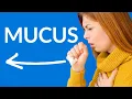 Clear STUCK MUCUS Phlegm from your Throat Lungs Airways