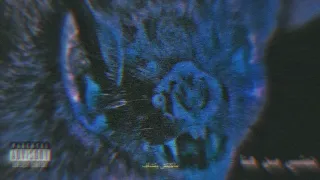                           ابيوسف نمشي من هنا                   دندنها