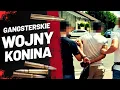 Download Lagu Przestępcy rządzą Koninem? Brutalna prawda o konińskiej ośmiornicy