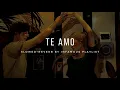 Download Lagu Te Amo Duet [Slowed+Reverb] - Ash King \u0026 Sunidhi Chauhan | Infamous Playlist