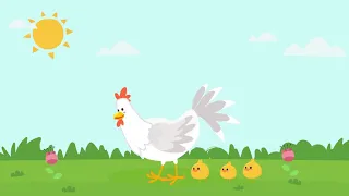 أغنية حرف د دجاجة  أغنية حرف د دجاجة