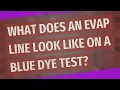 What does an EVAP line look like on a blue dye test