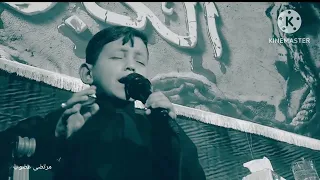                                                                  دندنها
