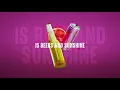 Darius Rucker - Beers And Sunshine (Official Lyric Video)