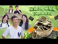 Download Lagu SNACK RONG BIỂN PHÔ MAI VÀ CHUYỆN HOÁN ĐỔI EM GÁI | Hai Anh Em Phần 680 | Phim Hài Hước Gãy Media