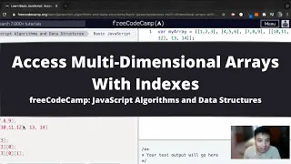 Access Multi Dimensional Arrays With Indexes Basic JavaScript freeCodeCamp tutorial