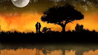 أدم وحنان ماجده الرومي 