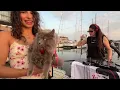 Download Lagu DJ La Misteriosa | Chill Afrobeats Sunset Vibes | Live on a Boat in Amsterdam (Het IJ)