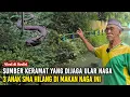 Ngeri !! Mbah Yono orang sakti menunjukkan lokasi sumber purba yang dijaga ular naga
