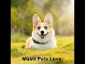 Music For Your Pet