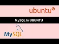 Install MySQL MySQL Server on your Ubuntu 22 04 LTS