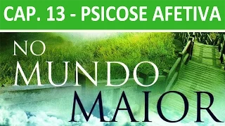 No Mundo Maior - Cap. 13 - Psicose Afetiva