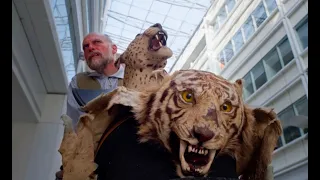 Nothing to Declare: Why is a Cheetah's head easier to import than a cheese sandwich?