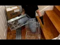 STEP-BY-STEP ASSEMBLY MZG Steel Heavy Duty 5 Tier Shelf