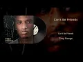 Trey Songz - Can't Be Friends (Vinyl Visualizer)