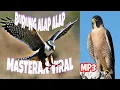Download Lagu SUARA MASTERAN TEMBAKAN||BURUNG ALAP ALAP||ELANG JAWA