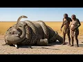 Download Lagu Life 4.8 Million Years Ago | How Our Ancestors Survived a Monster-Filled World