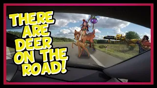 DEER ON THE ROAD ! | Headbutting Eggs and Warming Up Fingies | League of Legends Aram funny moments