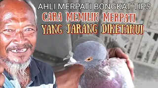 Download Cara memilih merpati yang jarang diketahui MP3