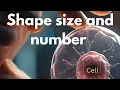 Cell - Shape Size Number Part-3 Structure of Cell