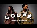 Theodort & Fleetzy - COUPÉ ( GP EXPLORER ) 