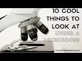10 Cool Things to View Under a Microscope